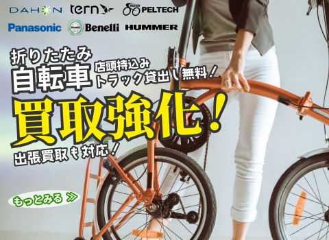 愛知、静岡の方指定場所引き取り限定MALDINI 折りたたみ自転車 黒 愛知、静岡の方指定場所引き取り限定MALDINI 折りたたみ自転車